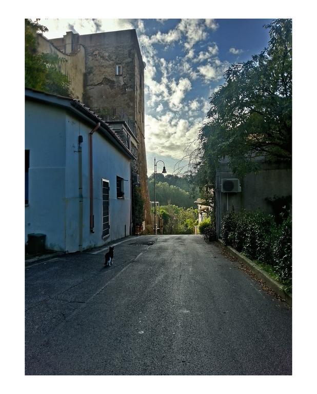 Apartamento Il Rosciolo Sulla Francigena Formello Exterior foto